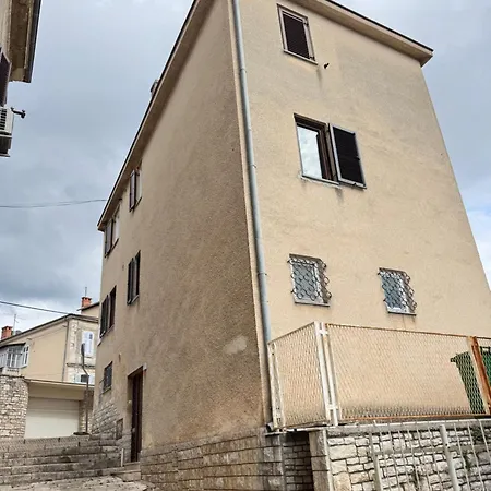 Flowers Pula, Center 2 *