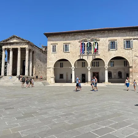 Flowers Pula, Center 2