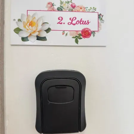 Апартаменты Flowers Pula, Center 2 Пула