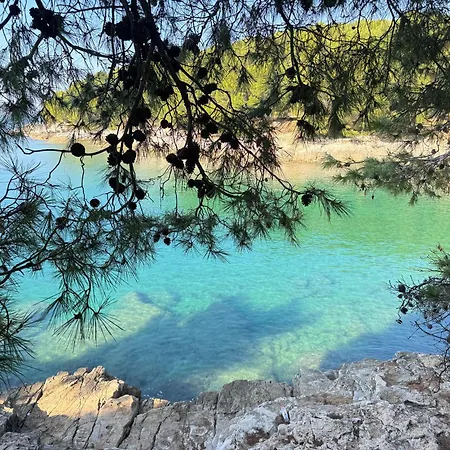 Flowers Pula, Center 2 Apartament *