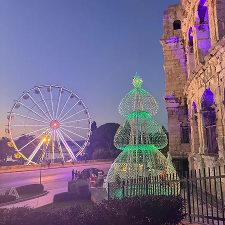 Flowers Pula, Center 2 *