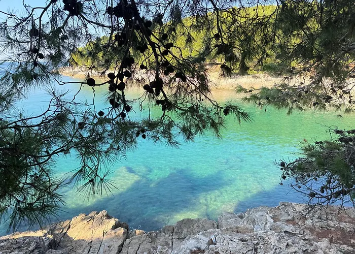 Flowers Pula, Center 2 Lejlighed *