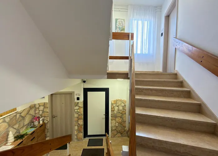 Flowers Pula, Center 2